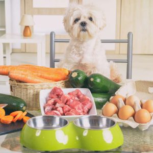 Analargenic – Hypoallergenic Dog Food
